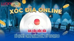 soi-cau-xoc-dia
