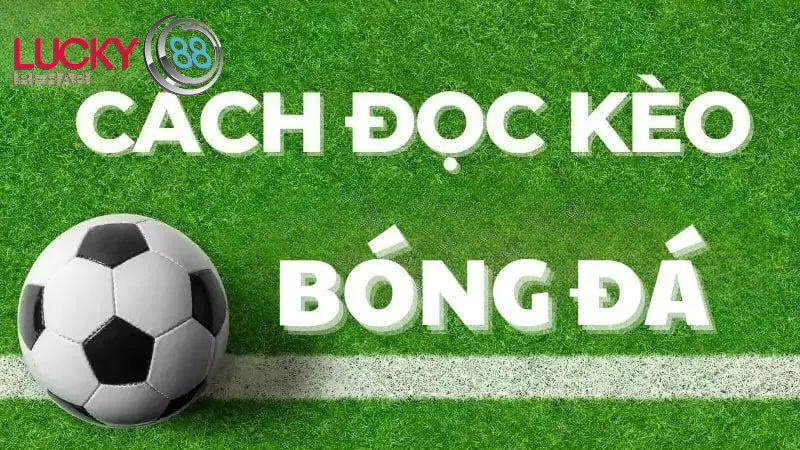 Cách đọc tỷ lệ kèo Lucky88 chuẩn xác cho tân thủ