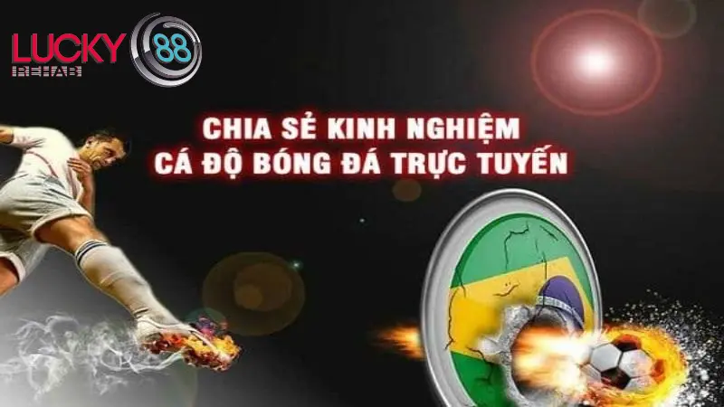 Kinh nghiệm cược bóng đá hiệu quả từ chuyên gia Lucky88