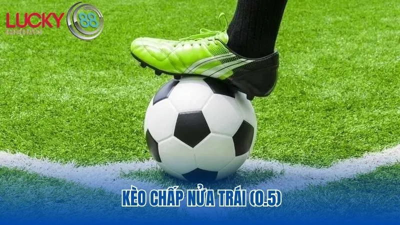 Kèo chấp nửa trái là kèo bóng đá được nhiều người chơi lựa chọn