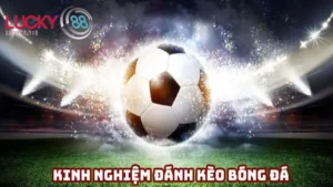 kinh-nghiem-cuoc-bong-da
