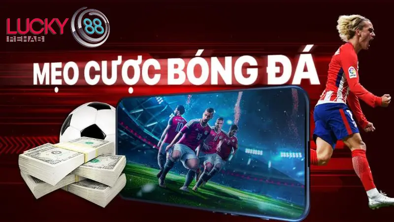 Lợi ích khi nắm bắt được các kinh nghiệm cá cược