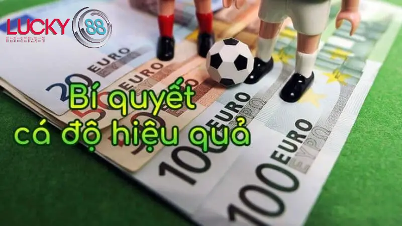 Kinh nghiệm cược bóng đá - lưu ý về tâm lý